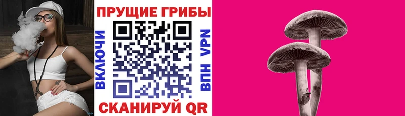 Галлюциногенные грибы GOLDEN TEACHER  Вельск 